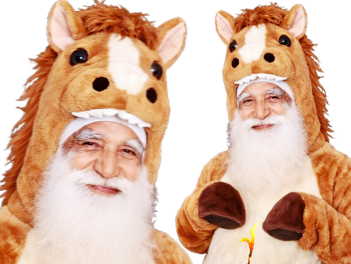 indien poire vieux tison cheval chevaux vache bovin grosse animal furry asterion chevre france rn