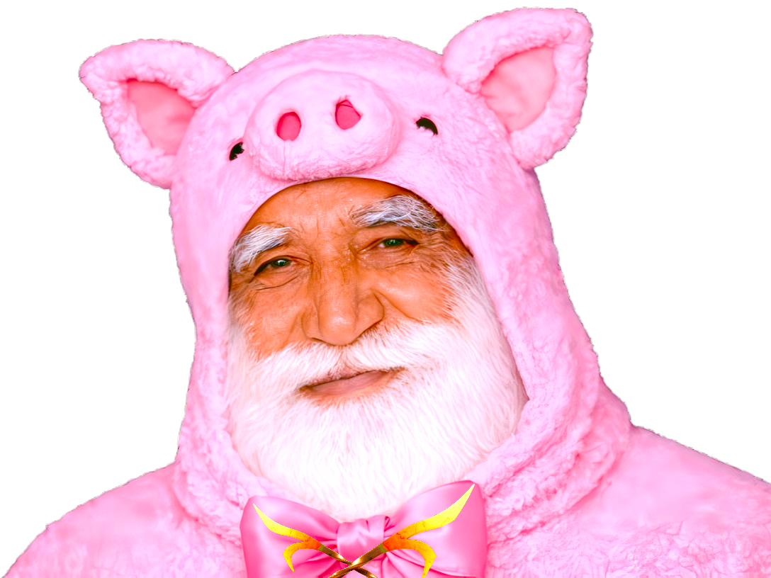 cochon indien poire tison porc halal haram halouf jambon musulman cochonne lard gras ramadan grouik
