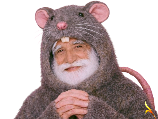 viol tema taille rat souris radin indien tison vieux poire juif argent pauvre riche ratus