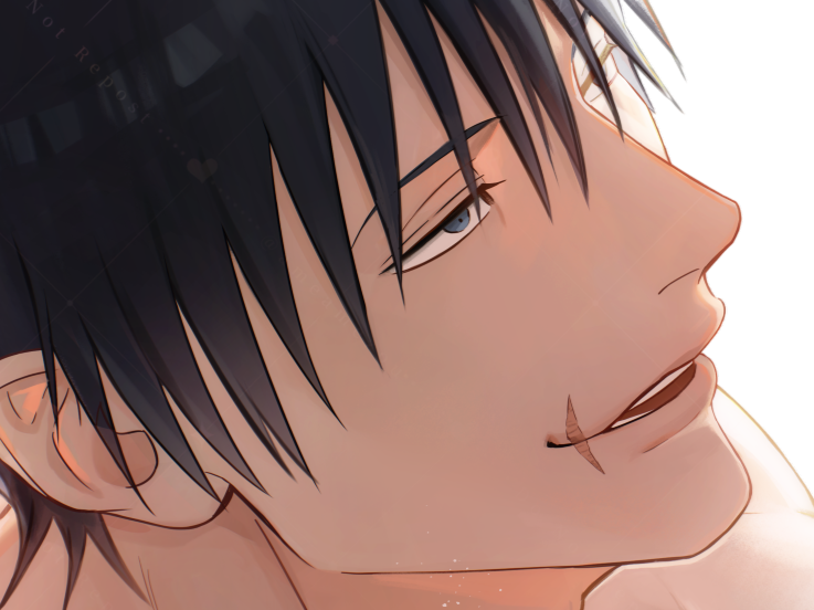 jujutsu kaisen toji fushiguro