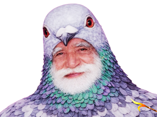 indien vieux tison pigeon golem shills mouton suiveur naif credule croire argile pnj soumis poire