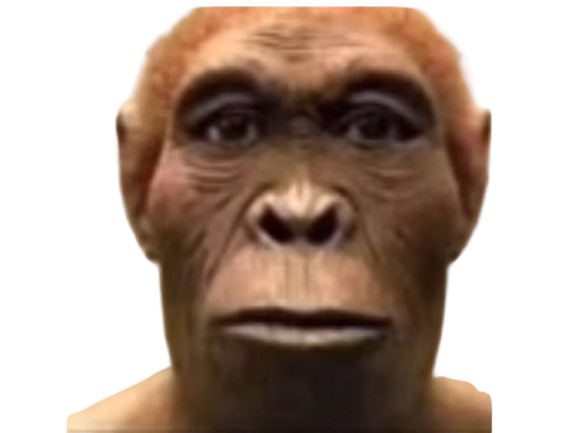 sinj singe twitch meme