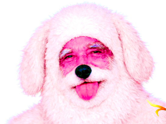 chevre chien indien poire tison cheval porc cochon pigeon vache grosse animaux papy vieux rat