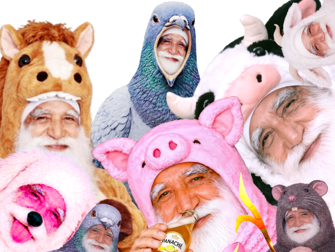 chevre chien indien poire tison cheval porc cochon pigeon vache grosse animaux papy vieux rat