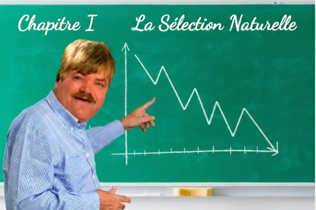 risicourbe prof tableau graphique courbe