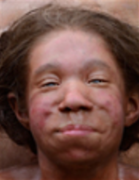 scogolined agedepierre gamin gronaseau