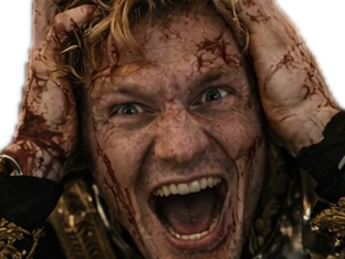 militaire soldat guerre cicatrice blond noble armee