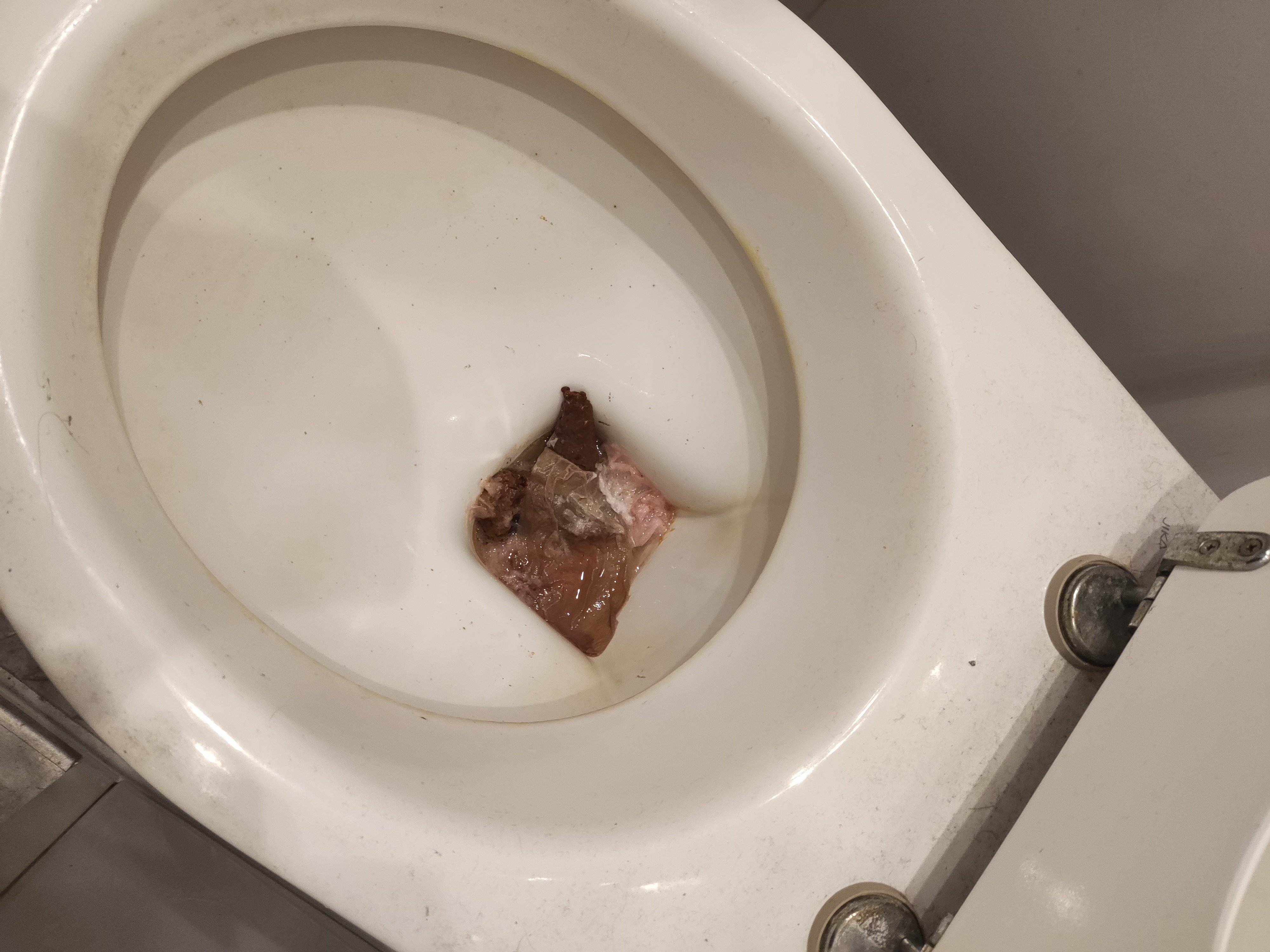 toilettes wc excrements