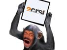 2crsi-singe