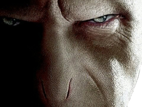 lord voldemort harry potter ouroboros bloop