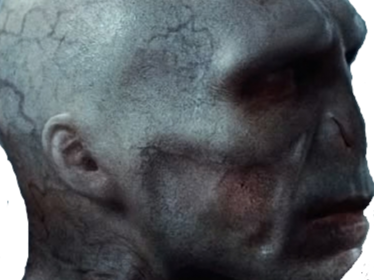 lord voldemort harry potter ouroboros bloop