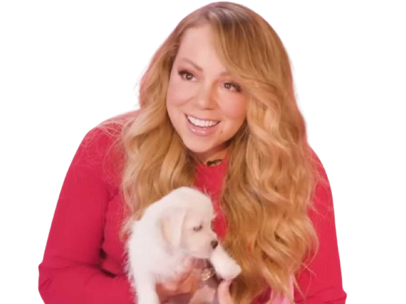 mariah carey cute diva chiot mignon souris sourire chien