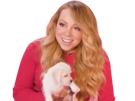 mariah-carey-cute-diva-chiot-mignon-souris-sourire-chien
