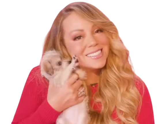 mariah carey cute diva chiot mignon souris sourire chien pose