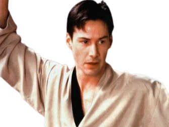neo anderson matrix keanu reeves bloop kung-fu