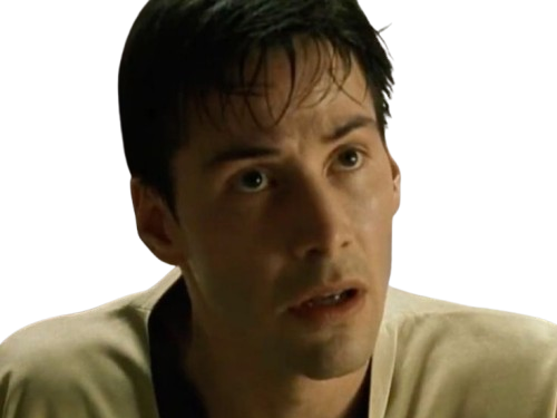 neo anderson matrix keanu reeves bloop kung-fu