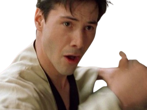 neo anderson matrix keanu reeves bloop kung-fu