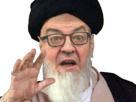 jean-luc-melenchon-iran-mollah-ayatollah-barbu-islamiste-lfi-insoumis