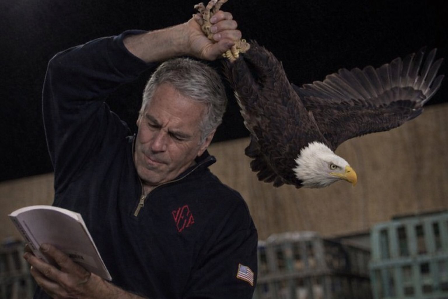 epstein aigle amerique usa etats unis