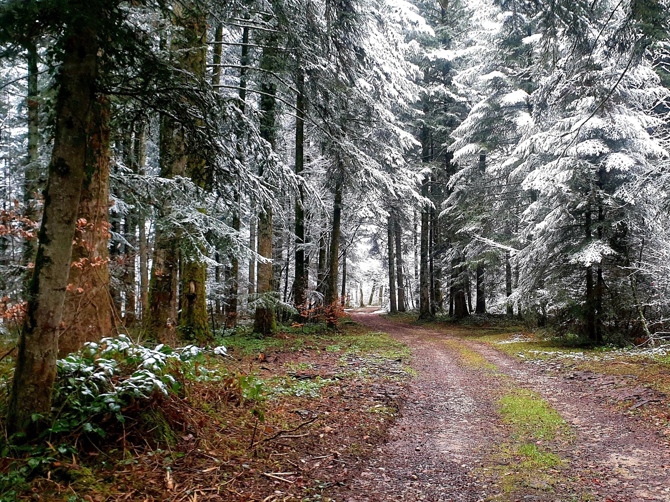 images paysages nature