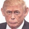 trump-singe-israel-usa-monkey-drunpf-donald