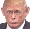 singe-trump-donald-maga-iran-guerre-usa-president-fifa-paix-cingle-gaga-vieux-bouffon
