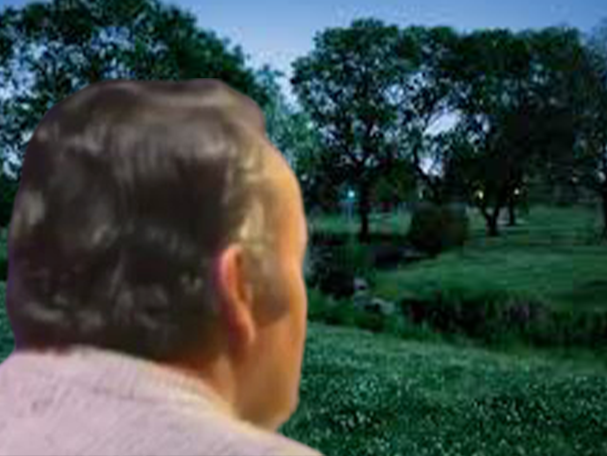 noir obscure obscurite nuit lumiere sombre jardin paysage triste melancolie melancolique nostalgie risitas tourne dos