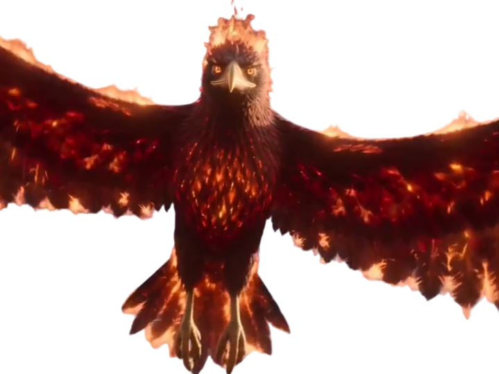 aigle feu