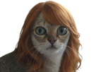chat-chamma-stone-chammastone-emma-cat-regard-etonne-chokbar-surpris-meme-roux-rousse-cheveux