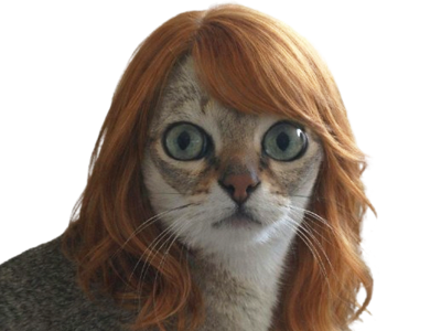 chat chamma stone chammastone emma cat regard etonne chokbar surpris meme roux rousse cheveux