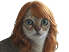 chat-chamma-stone-chammastone-emma-cat-regard-etonne-chokbar-surpris-meme-roux-rousse-cheveux