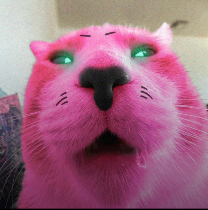 marathon bungie chat 3d cute kawai rose regarde miaou neko cat game jeu meme zoom