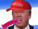 trump-maga-make-america-israel-great-again-cuck-dildo