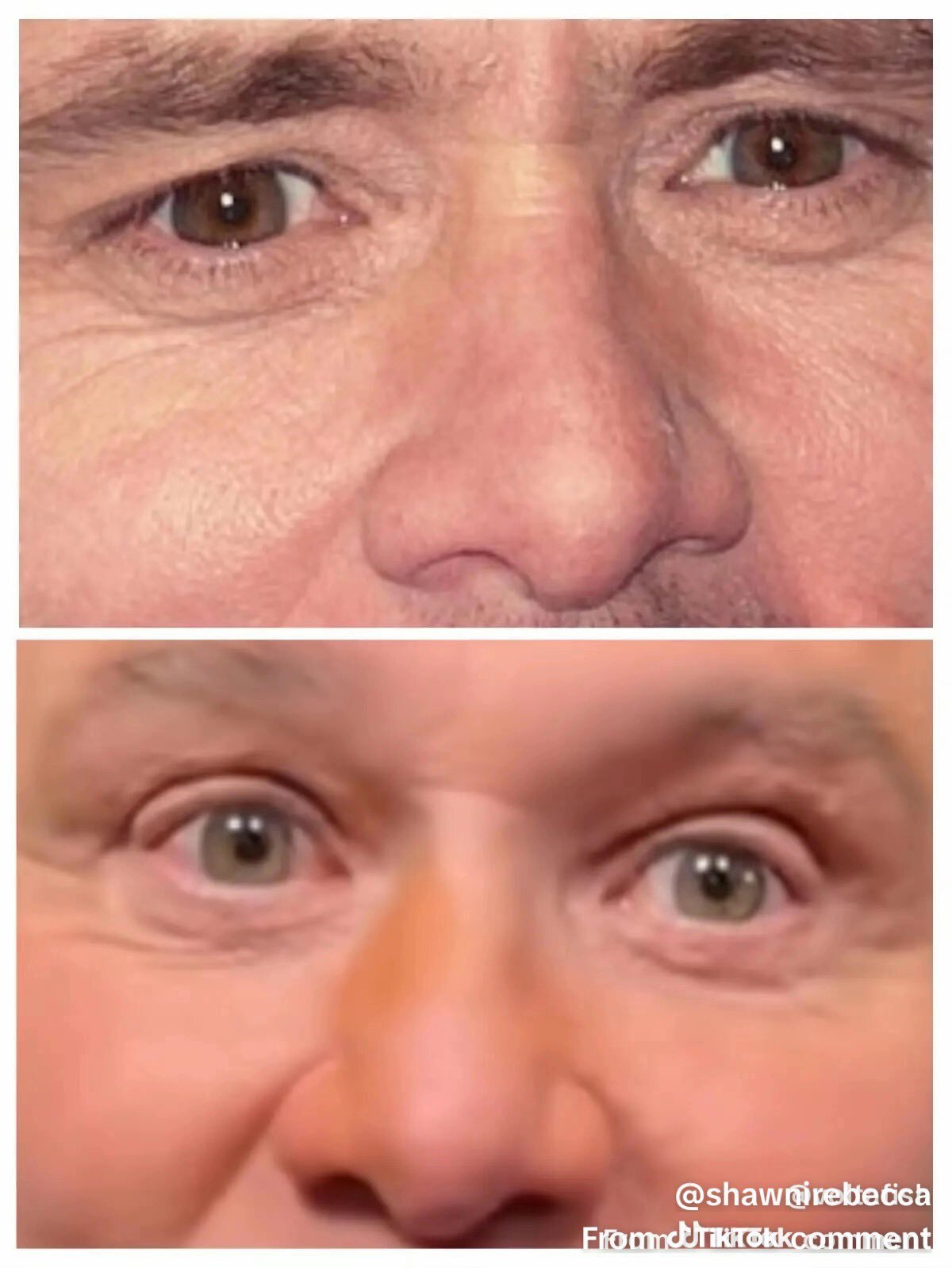 truman carrey robo ipkiss ventura sosi same idem pareil false hoax conspi complotix scandal theory