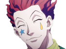hisoka-morow-hunter-x-hunterxhunter-anime-manga-cheveux-rouge-yeux-jaunes-clown-magicien-nen-transformation-assassin-sociopathe