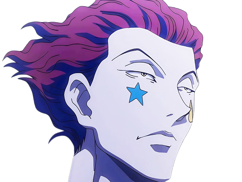 hisoka morow hunter x hunterxhunter anime manga cheveux-rouge yeux-jaunes clown magicien nen transformation assassin sociopathe