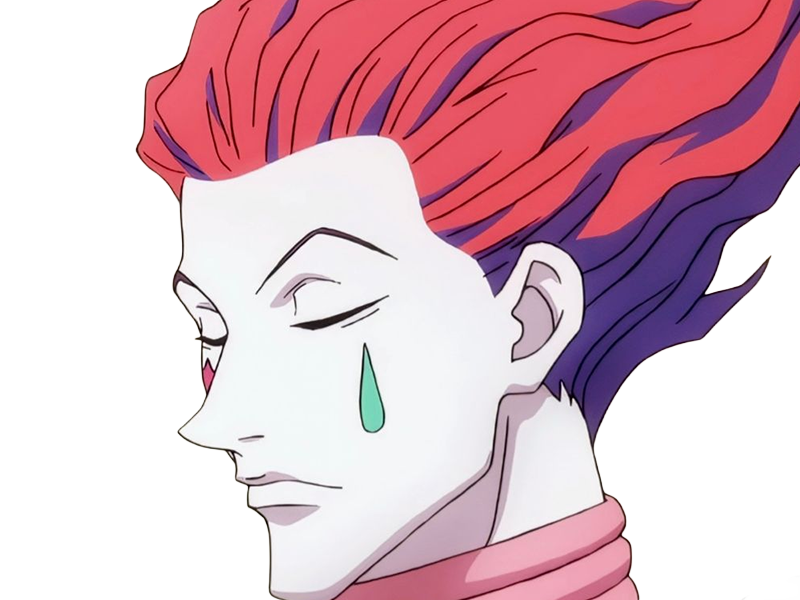 hisoka morow hunter x hunterxhunter anime manga cheveux-rouge yeux-jaunes clown magicien nen transformation assassin sociopathe