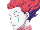 hisoka-morow-hunter-x-hunterxhunter-anime-manga-cheveux-rouge-yeux-jaunes-clown-magicien-nen-transformation-assassin-sociopathe