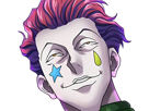hisoka-morow-hunter-x-hunterxhunter-anime-manga-cheveux-rouge-yeux-jaunes-clown-magicien-nen-transformation-assassin-sociopathe