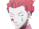 hisoka-morow-hunter-x-hunterxhunter-anime-manga-cheveux-rouge-yeux-jaunes-clown-magicien-nen-transformation-assassin-sociopathe