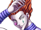 hisoka-morow-hunter-x-hunterxhunter-anime-manga-cheveux-rouge-yeux-jaunes-clown-magicien-nen-transformation-assassin-sociopathe