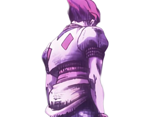 hisoka morow hunter x hunterxhunter anime manga cheveux-rouge yeux-jaunes clown magicien nen transformation assassin sociopathe