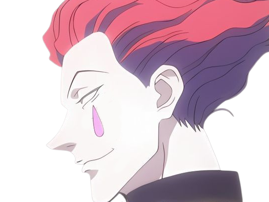 hisoka morow hunter x hunterxhunter anime manga cheveux-rouge yeux-jaunes clown magicien nen transformation assassin sociopathe
