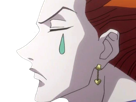 hisoka-morow-hunter-x-hunterxhunter-anime-manga-cheveux-rouge-yeux-jaunes-clown-magicien-nen-transformation-assassin-sociopathe