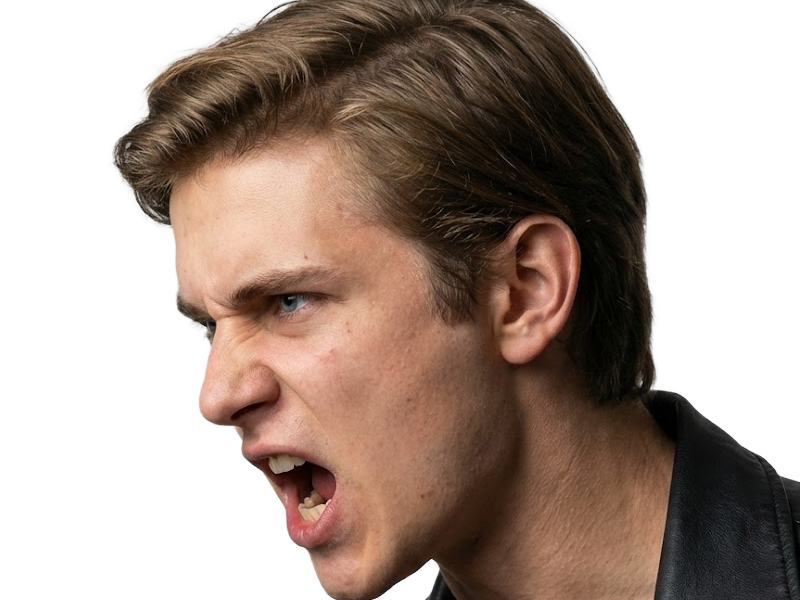 hayden christensen acteur producteur fermier homme canadien americain vingtaine vingtenaire cheveux-chatains yeux-bleus 2000s annees-2000