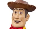 woody-toy-story-friend-inside-me-mascotte-cowboy-far-west-moupe-monstre