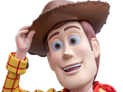 woody-toy-story-friend-inside-me-mascotte-cowboy-far-west-moupe-monstre