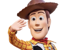 woody-toy-story-friend-inside-me-mascotte-cowboy-far-west-moupe-monstre