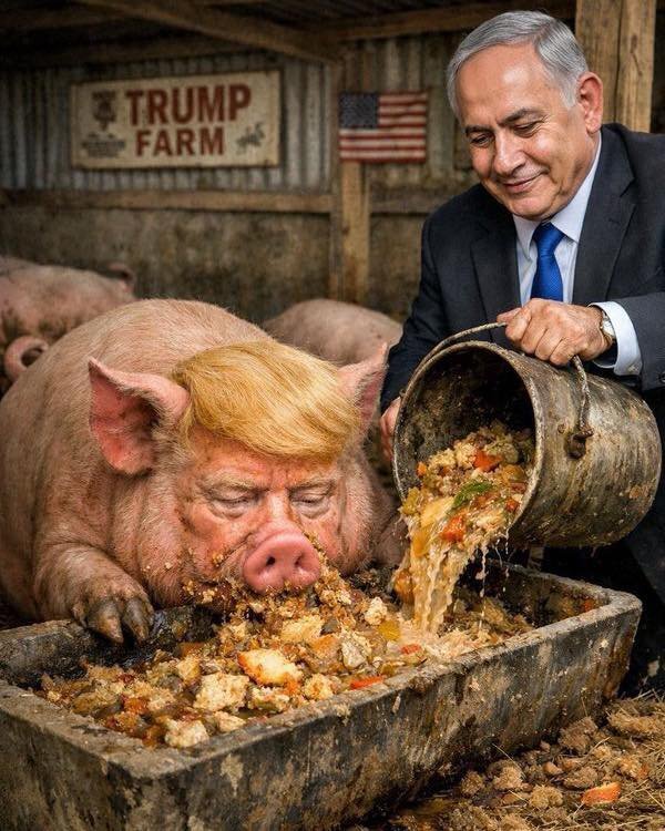 trump bibi guerre iran israel etats unis amerique soumis porc cochon