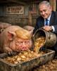 trump-bibi-guerre-iran-israel-etats-unis-amerique-soumis-porc-cochon